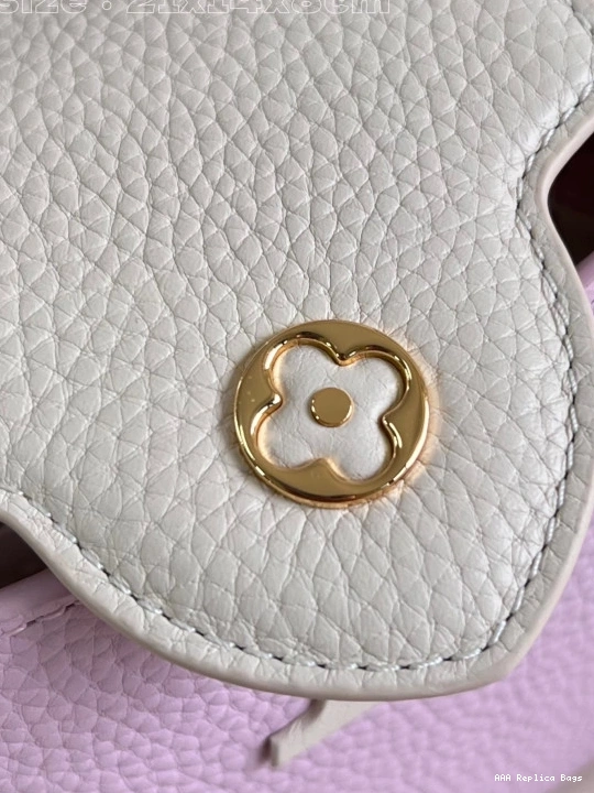 Aaa replica bags MINI-21*14*8CM LOUIS VUITTON CAPUCINES 0811